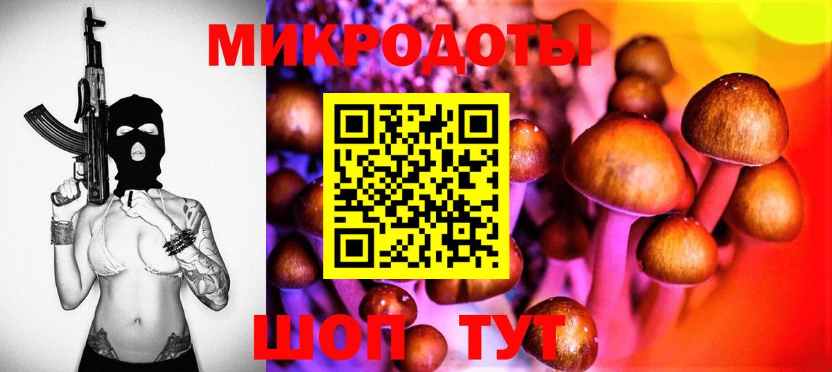 хочу   Галлюциногенные грибы GOLDEN TEACHER  Тосно  Вход с VPN  Псилоцибиновые грибы мицелий 